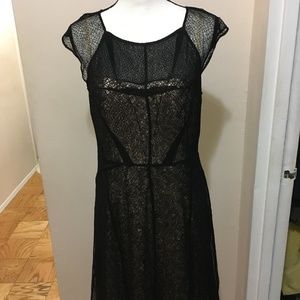 Black and Gold dress